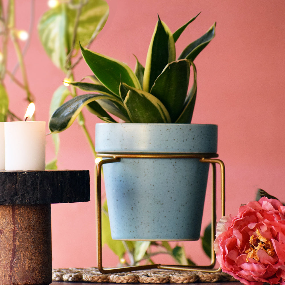 Cuban Blue Planter With Voguish Gold Stand