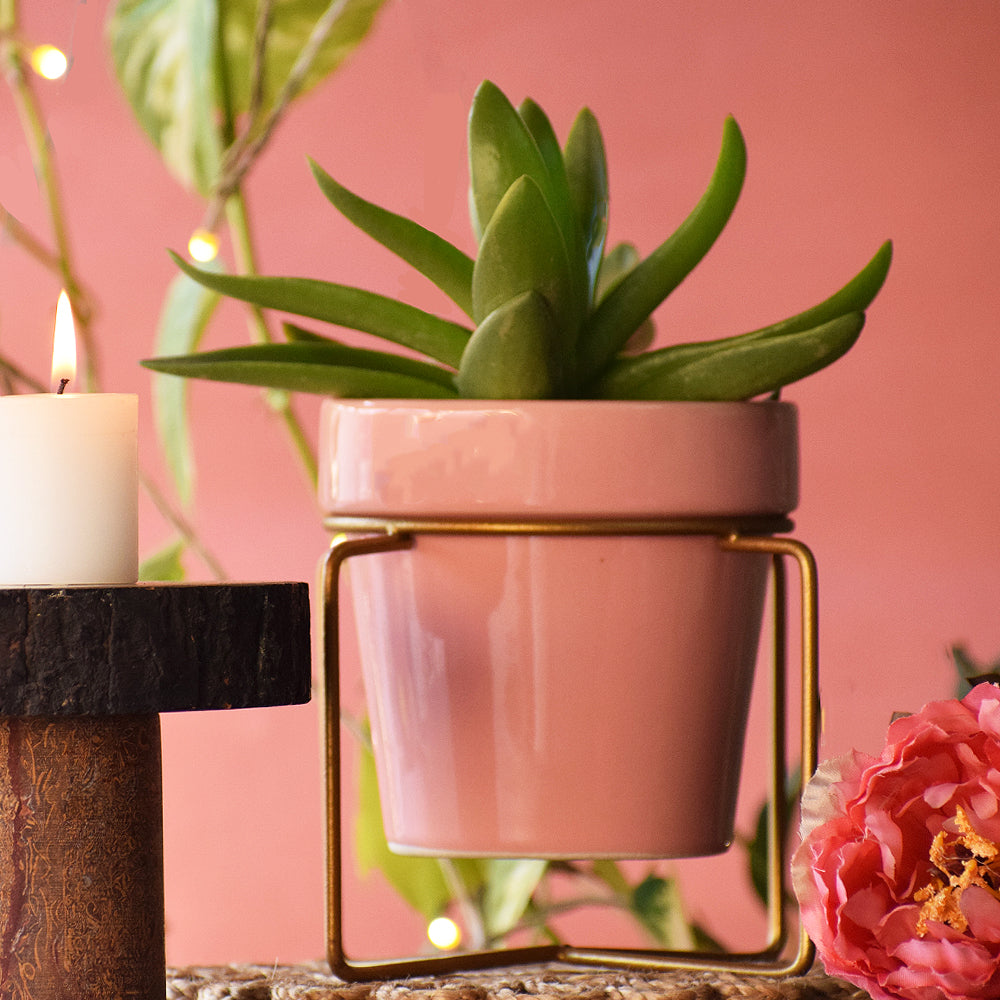 Pretty Peachy Pink Planter With Voguish Gold Stand
