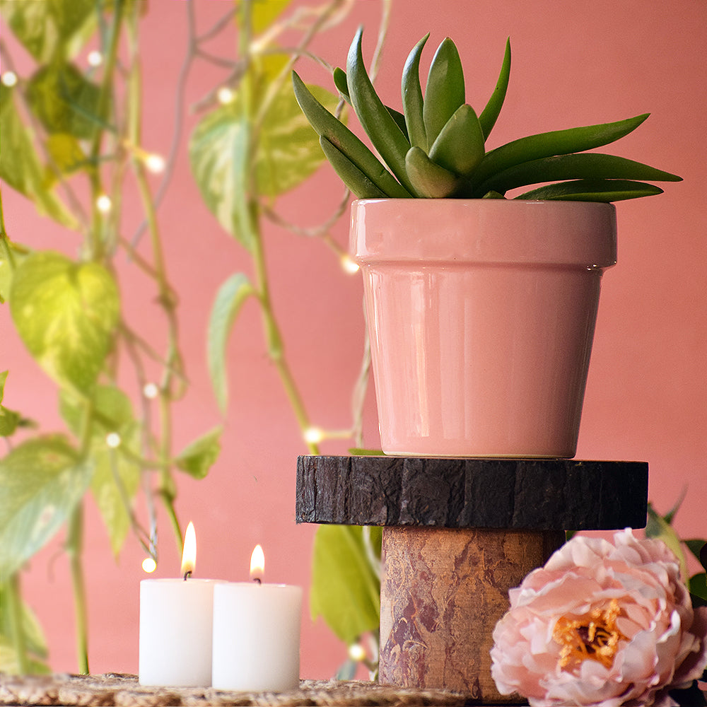 Pretty Peachy Pink Planter