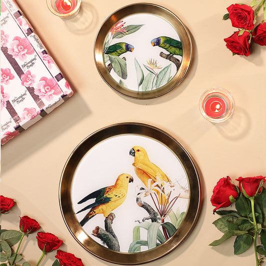 Jewel-Toned Feathers Wallplates Gift Set