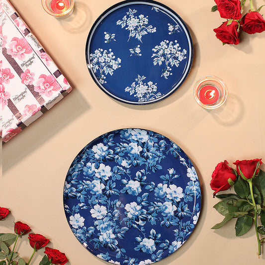 Brushed in Blue Set Of 2 Wallplates