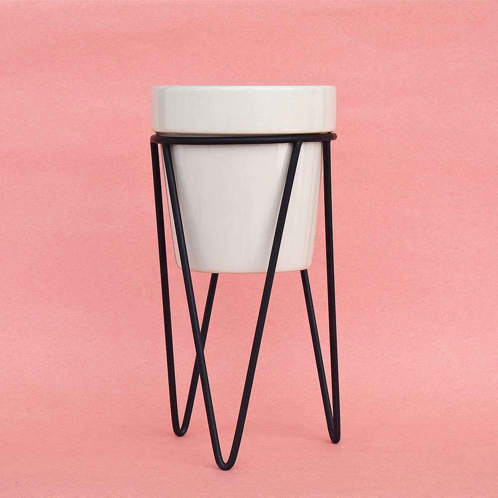 Earthy White Planter With Bold Black Stand