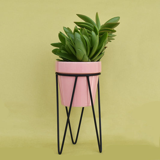 Pretty Peachy Pink Planter With Bold Black Stand