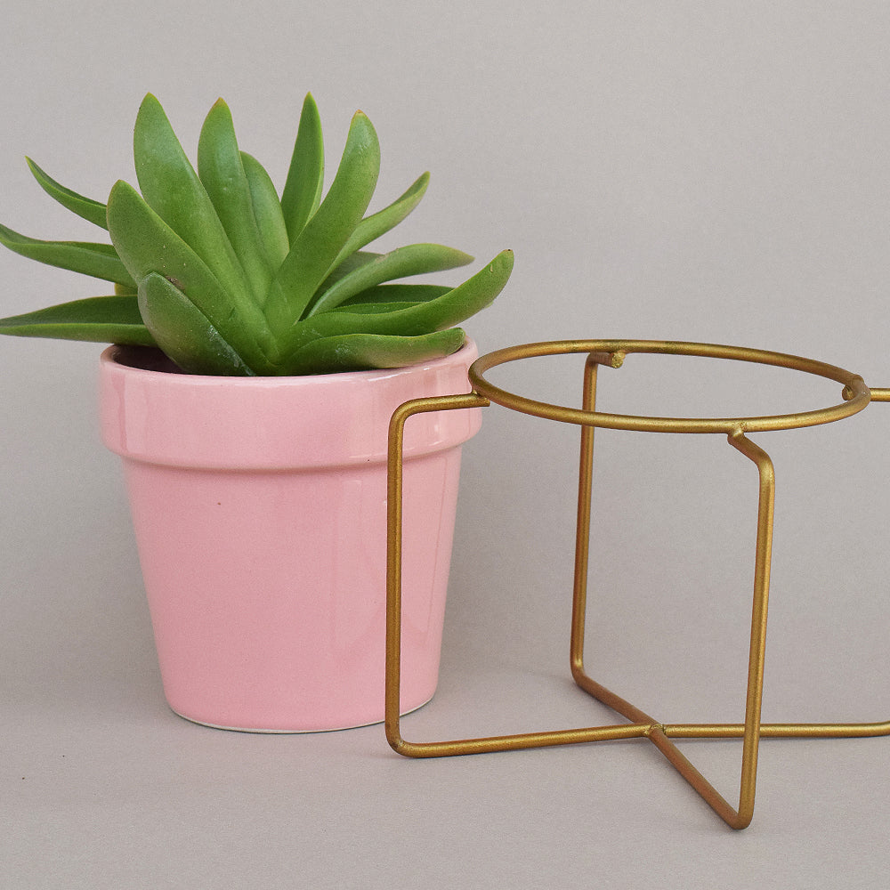 Pretty Peachy Pink Planter With Voguish Gold Stand
