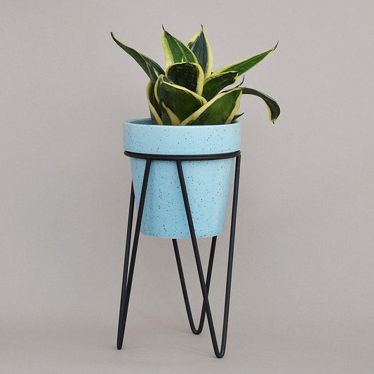 Cuban Blue Planter With Bold Black Stand