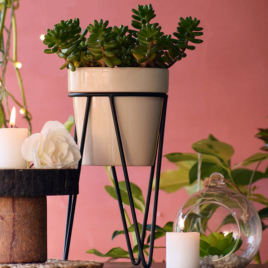 Earthy White Planter With Bold Black Stand