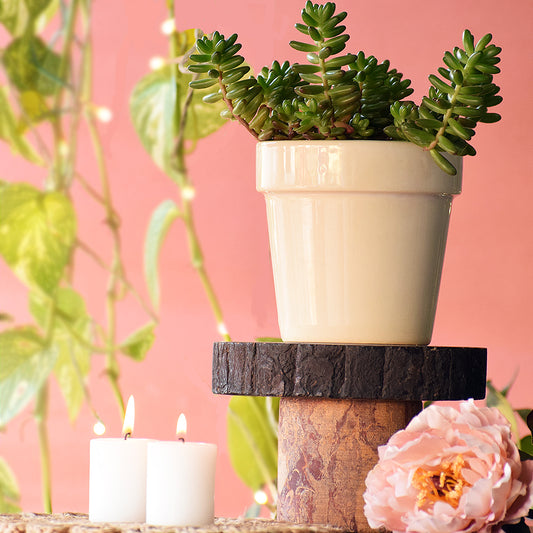Earthy White Planter