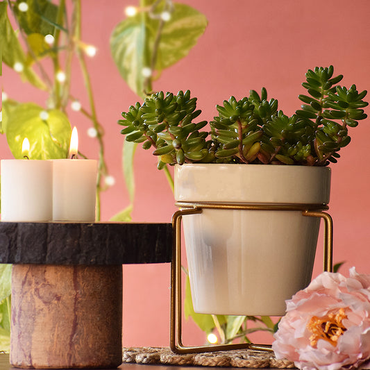 Earthy White Planter With Voguish Gold Stand