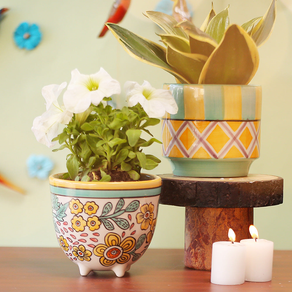 Bright Sunfloral Planter