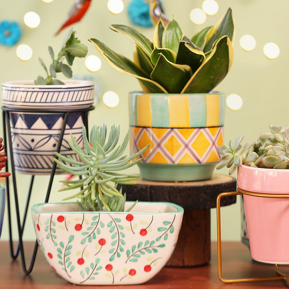 Cherry Merry Planter